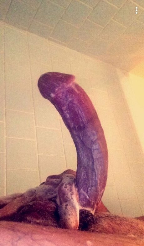 wolfpaccjohnny kunst freie foto