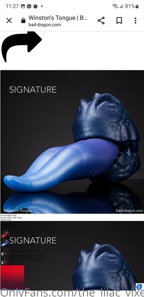 the lilac vixen freie exklusive bild