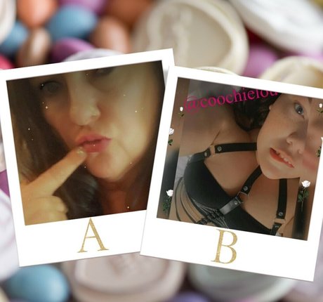 blkwdwpromotions top perfekte foto