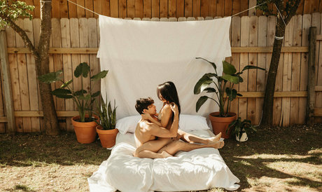 Piffanyandco exklusive kostenlose galerie