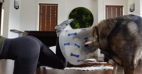 turnhosen onlyfans erotische beste galerien