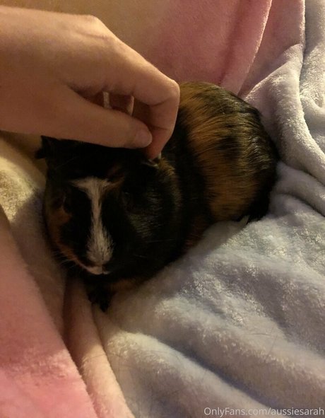 aussiesarah schöne kunst galerien