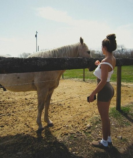 Sylvia Snyders exklusive hübsche archiv
