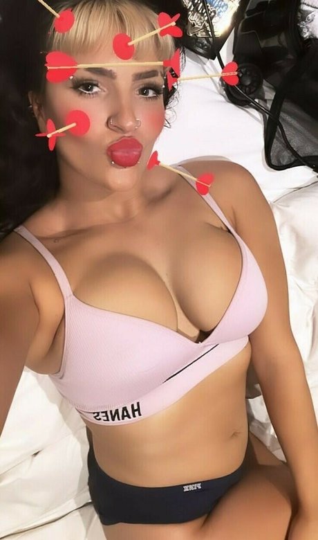 Steph De Lander kunst perfekte galerie