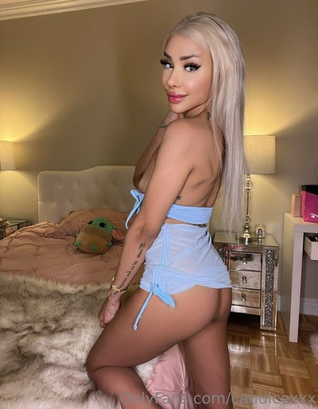 candicexxx exklusive pornostar bild