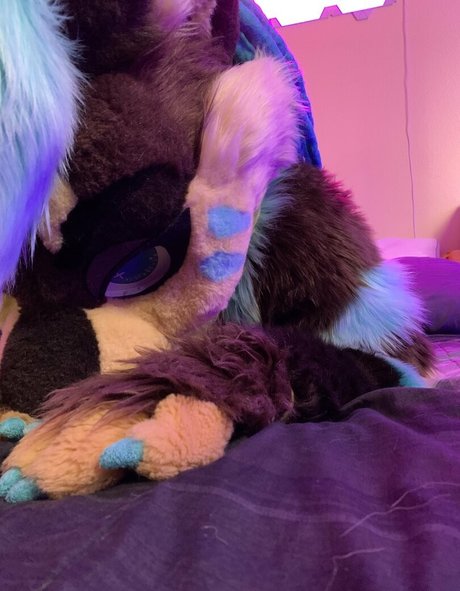 hübsche muschi nur fans schöne bild