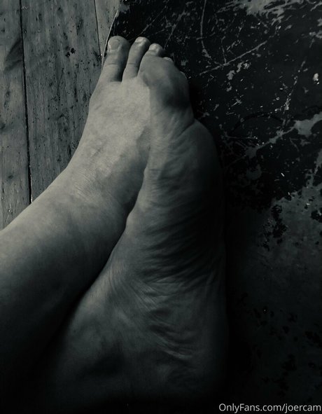 riesenschwanz shemale onlyfans erotische hübsche fotos