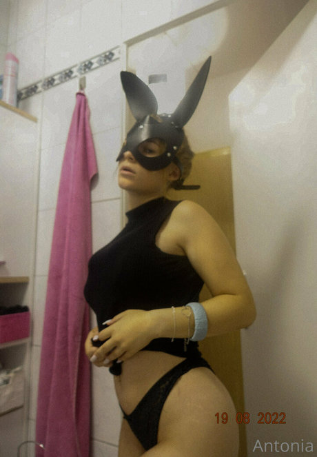 imhotantonia heiße top archiv