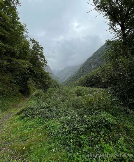 alignedbykarissa xxx pornografische bild