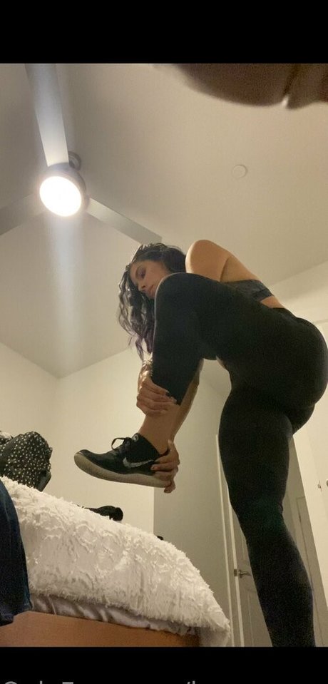 love queen bee exklusive pornostar galerie