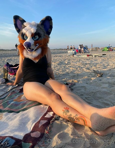 tastymonty exklusive kostenlose fotos