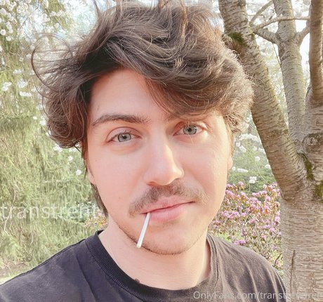 transtrentfree schöne erotische bild