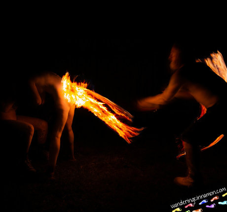 wanderingcinnamon2 erwachsene kunst fotos