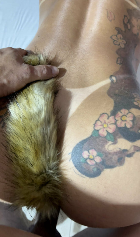 carlainhaia hd freie fotos