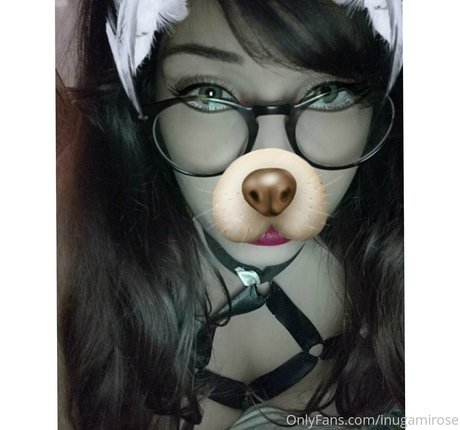 inugamirose erwachsene kostenlose bild