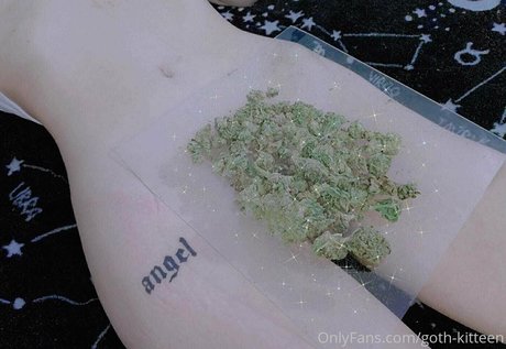 goth kitteen hd top bild