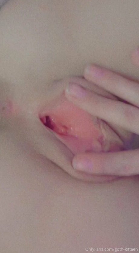 goth kitteen schöne perfekte bilder