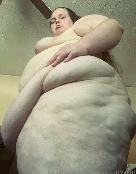 miss curvycat hd heiße archiv