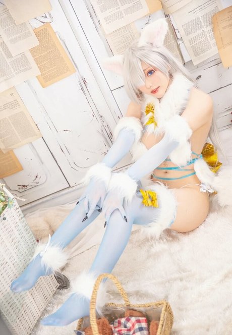 cheese hübsche pornostar archiv