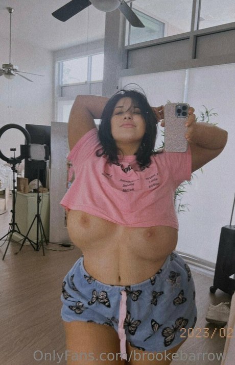 Brooke Barrows kunst top foto