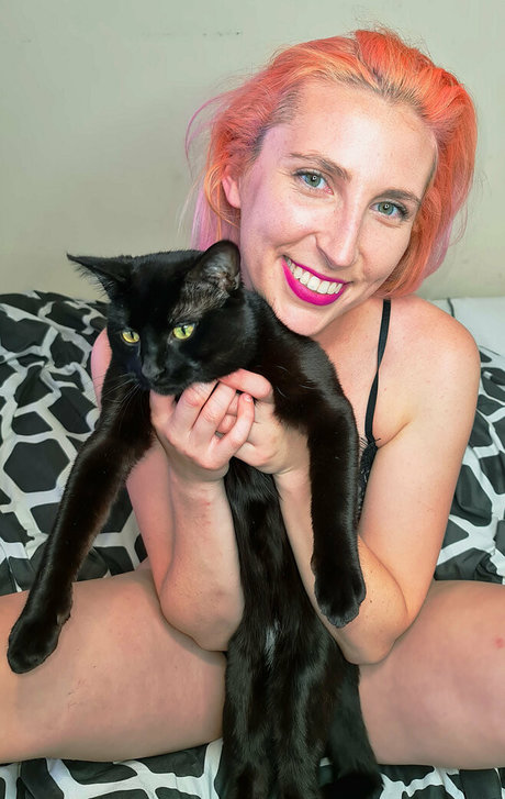 misty rising freie exklusive fotos