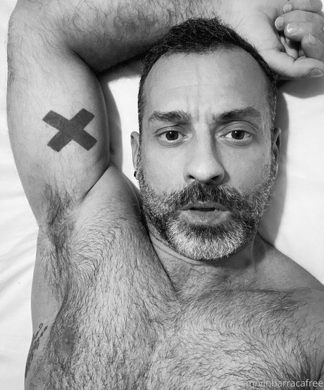 vinbarracafree kunst nette foto