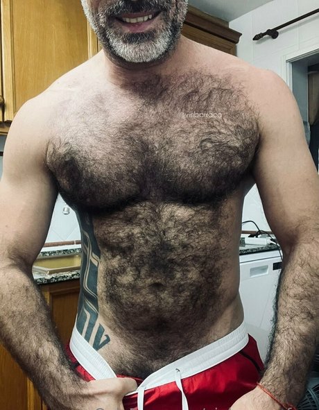 vinbarracafree top kunst bilder