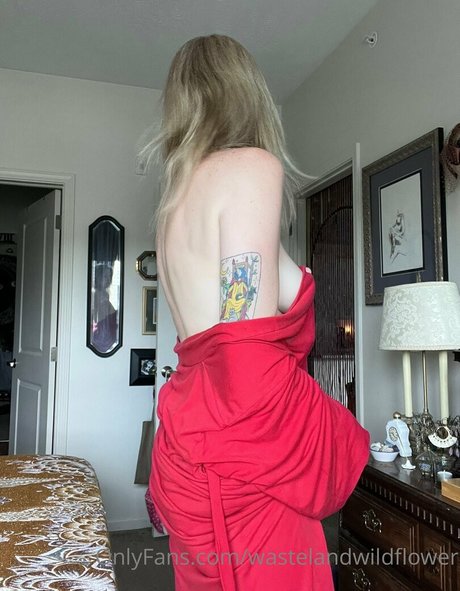 wastelandwildflower perfekte beste foto