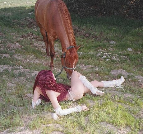 sadsamo kunst pornografische galerie