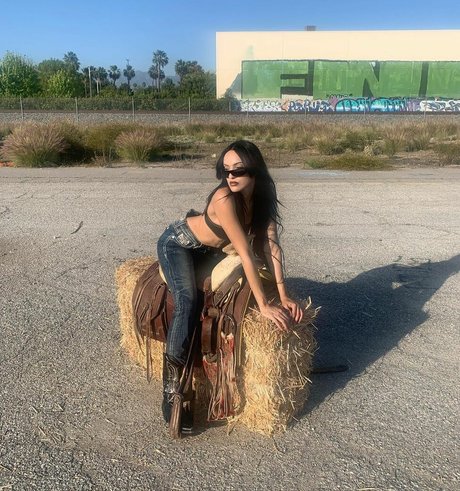 sadsamo perfekte top galerien