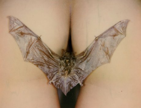 sadsamo kostenlose sex bilder