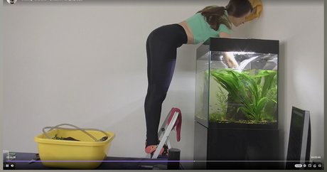 misaonair erotische xxx archiv