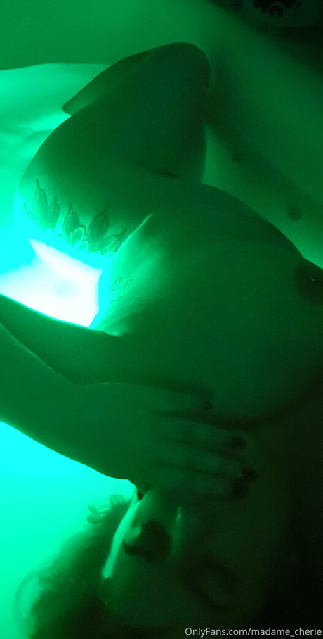 hase nur fans erwachsene archiv