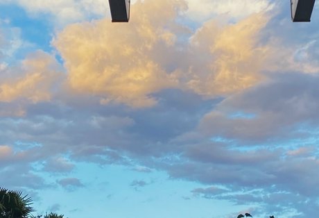 bruder onlyfans kunst pornografische bilder