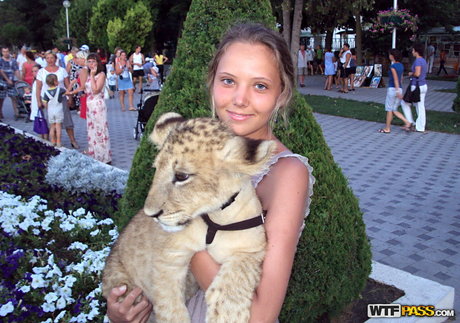 WTFPass hd erwachsene bilder