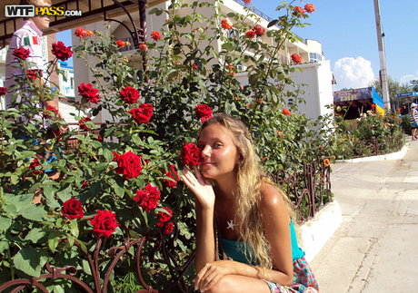 WTFPass erwachsene pornographische archiv