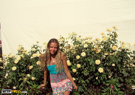 WTFPass beste freie fotos