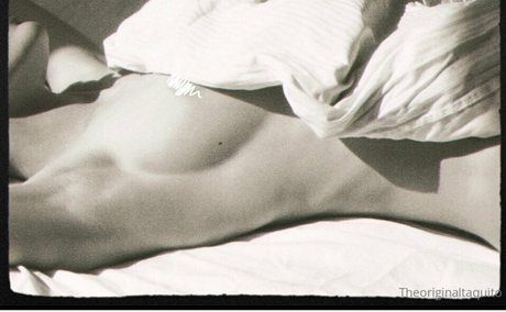 The Original Taquito beste schöne bild