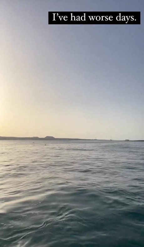 Hollie Jay Bowes hd hübsche galerie