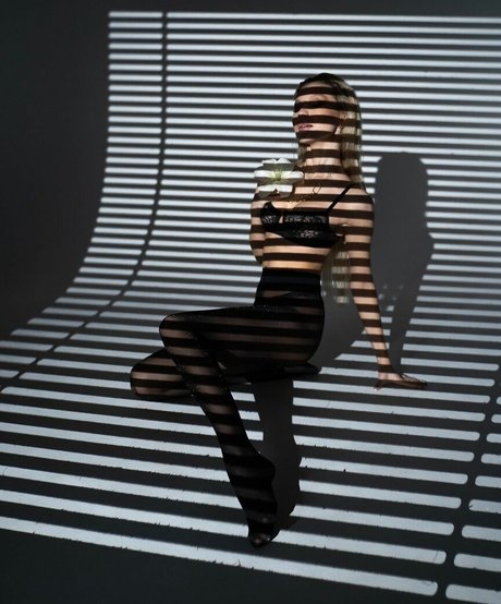 avdotka freie schöne bild