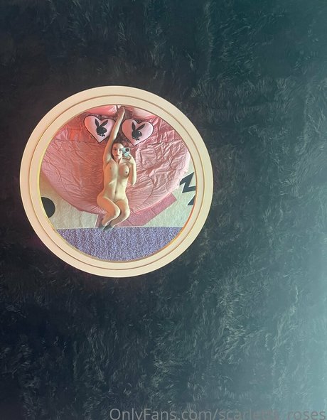 haleysvision kunst perfekte galerien