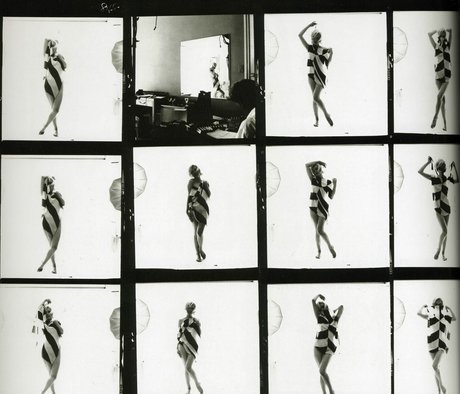 Marilyn Monroe erwachsene perfekte bild