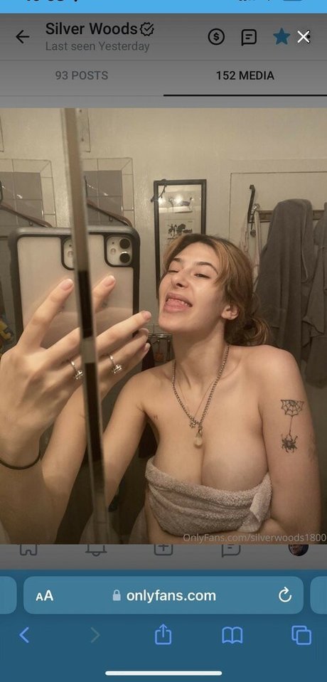 silverwoods1800 hübsche schöne bild