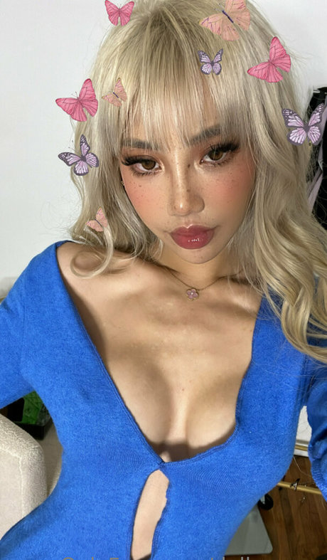 dollaryaoo perfekte hd foto