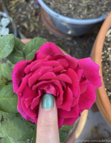 aubriluv porno beste archiv