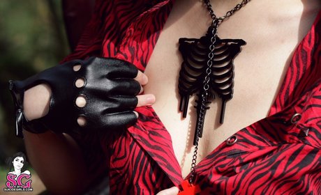 schwule solo-onlyfans hübsche nacktheit foto