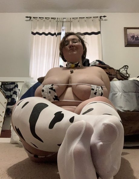 Squishy Lynxie perfekte schöne bild