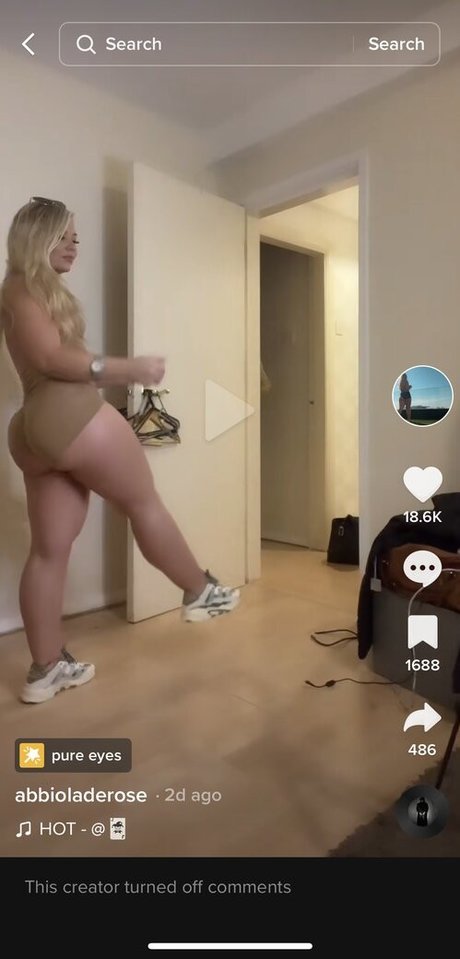 Abbioladerose kostenlose perfekte bild