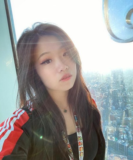 Bawnsai schöne fotos