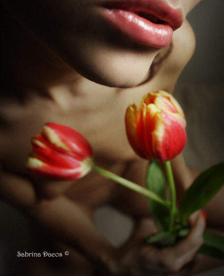 lkw-fahrer onlyfans hübsche pornographische fotos